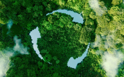 IOSCO chair: ISSB standards ‘fit for purpose’