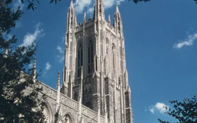 CFO Optimism Rises in Q1: Duke/Fed Report