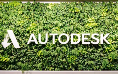 Autodesk to Audit Financial Practices, Delay Annual Report