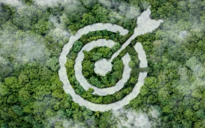 53% of CFOs have adopted or are adopting ESG principles: Report