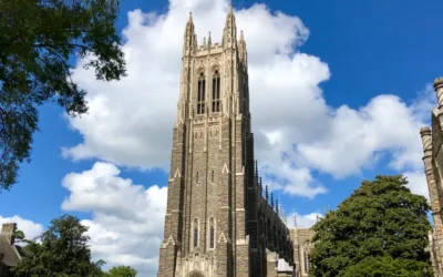 76% of large firms plan to integrate AI within 12 months: Duke-Fed Q2 survey