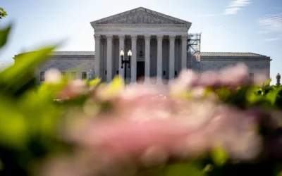 SCOTUS overturns Chevron doctrine, limiting federal agency reach