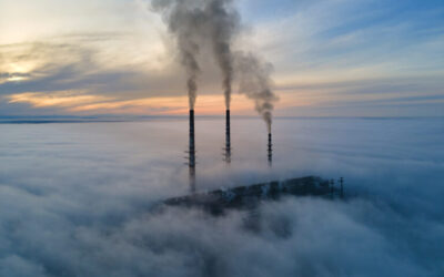 Biofuel Carbon Accounting Report could signal shift in carbon auditing practices