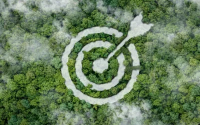 CFOs lukewarm on reaching climate targets