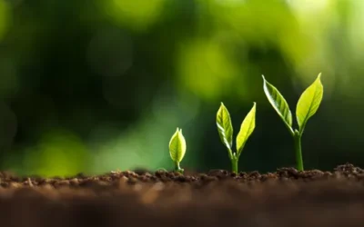 Rockefeller grant strengthens push for nature-related disclosures