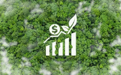 Why carbon credits are becoming a core capital strategy for CFOs