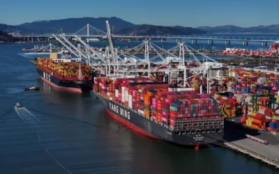 Solving the tariff puzzle: A call to action for businesses