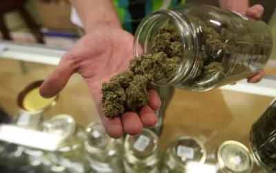 Why intoxicating hemp is a growing threat to regulated cannabis businesses