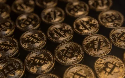 Big investors increase their allocations to crypto