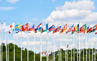 82% of finance and tax leaders expect increased public tax disclosure in 2-3 years