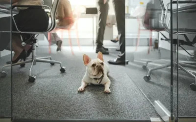 CFOs On the Move: Week ending Aug. 15