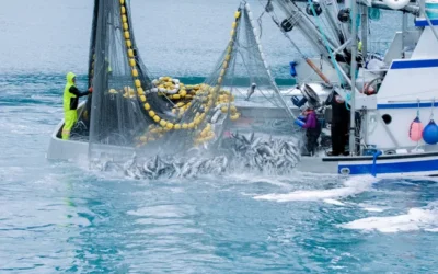 Former Oregon fisheries CFO sentenced for embezzling over $200K: Trial Balance