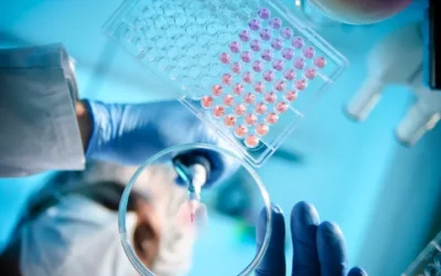 What CFOs need to know about R&D tax credit reform