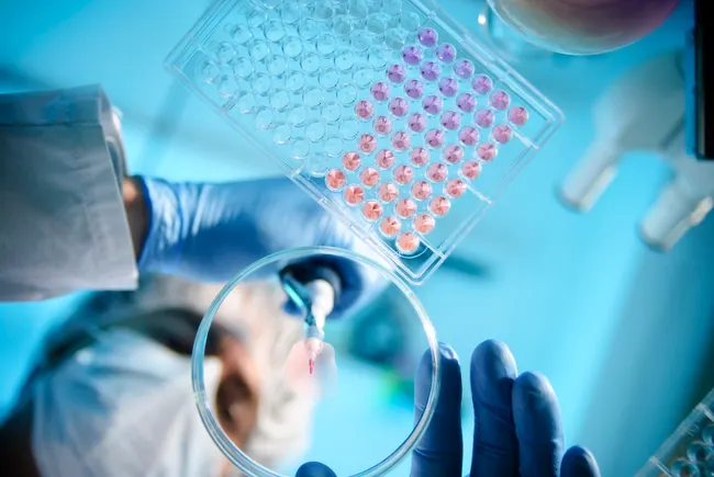 What CFOs need to know about R&D tax credit reform
