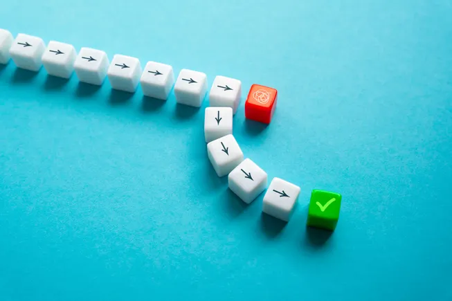 Risk and business strategy go hand in hand: EY
