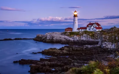 Ethical CFO leadership as a strategic differentiator