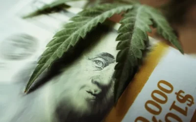 How Dope CFO is evolving as cannabis finance matures