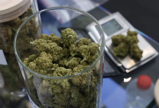 The CFO playbook for cannabis in 2026