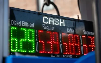 Global accountants hold grim outlook on the economy