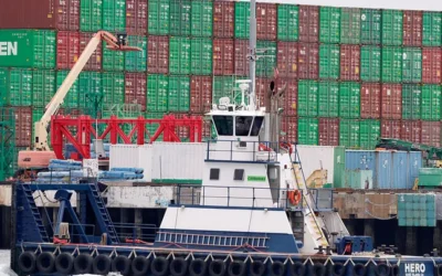 These businesses didn’t pay tariffs. They’re seeking refunds anyway.